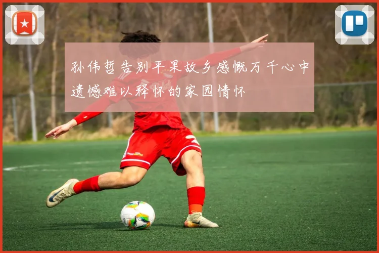 孙伟哲告别平果故乡感慨万千心中遗憾难以释怀的家园情怀
