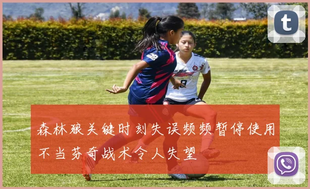 森林狼关键时刻失误频频暂停使用不当芬奇战术令人失望